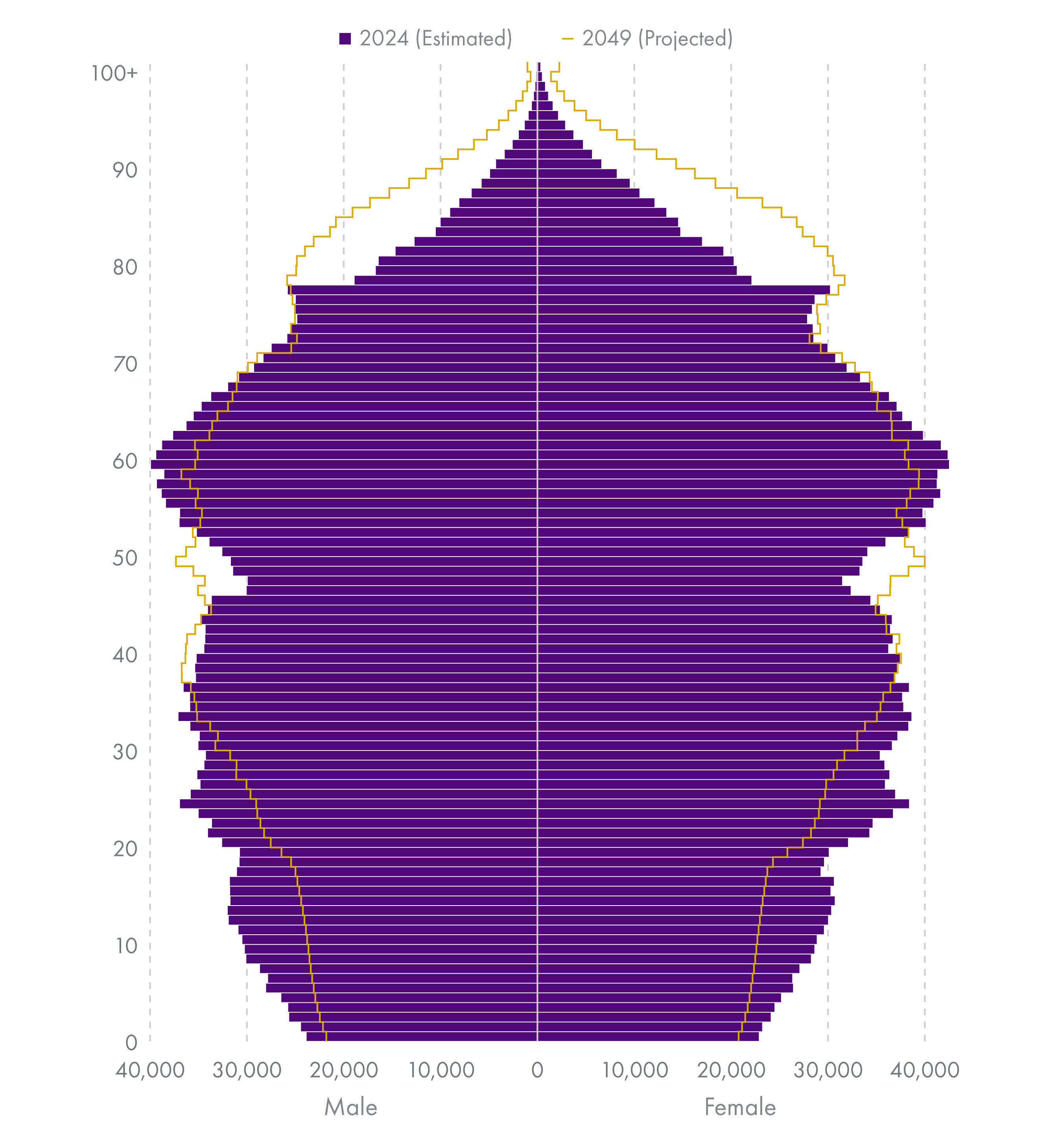 Chart showing more older people in 2049 compared with 2024 particularly those aged 75 and over (both males and females)